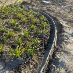 Boordsteen Type Wirtz Buigbaar 100x20x3-1,5cm Grijs -Bouw Materialens Winkel boordsteen type wirtz buigbaar 100x20x35 15cm grijs 4