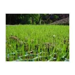 EMG TerraWeb-light 2x30m -Bouw Materialens Winkel emg terraweb light 2x30m 2