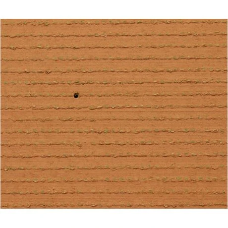 Exelgreen Campus 38mm Breedte 4m - Lengte Per 10cm 4 Exelgreen Campus 38mm Breedte 4m - Lengte Per 10cm - Afbeelding 4