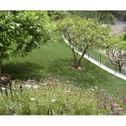 Exelgreen Natura 25mm Breedte 4m - Lengte Per 10cm 9 Exelgreen Natura 25mm Breedte 4m - Lengte Per 10cm -Bouw Materialens Winkel exelgreen natura 25mm breedte 4m lengte per 10cm 4