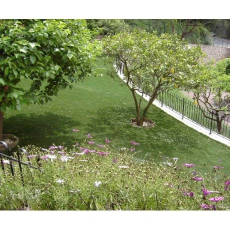 Exelgreen Natura 25mm Breedte 4m - Lengte Per 10cm 5 Exelgreen Natura 25mm Breedte 4m - Lengte Per 10cm - Afbeelding 5