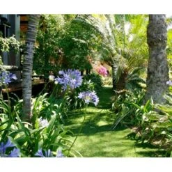 Exelgreen Park 40mm Breedte 4m - Lengte Per 10cm -Bouw Materialens Winkel exelgreen park 40mm breedte 4m lengte per 10cm 4