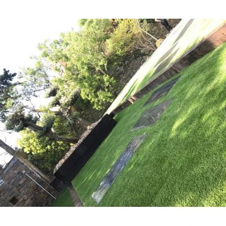 Exelgreen Real C 3D 25mm Breedte 4m - Lengte Per 10cm 5 Exelgreen Real C 3D 25mm Breedte 4m - Lengte Per 10cm - Afbeelding 5