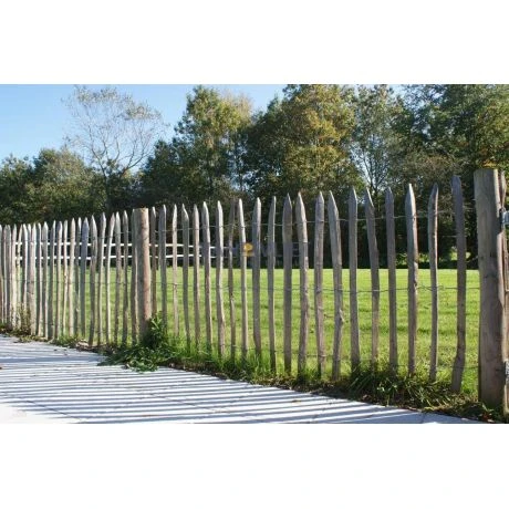 Frans Kastanjehek 10mx150cm (afstand 7.5-8cm) 2 Frans Kastanjehek 10mx150cm (afstand 7.5-8cm) - Afbeelding 2