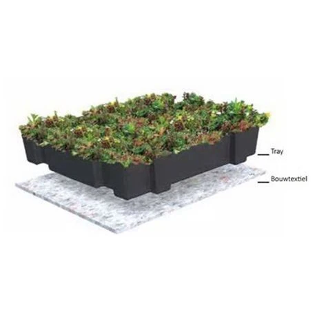 Groendak Sedumtray CLICK 'N GO - 1m² 2 Groendak Sedumtray CLICK 'N GO - 1m² - Afbeelding 2