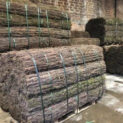 Heidemat 4-5cm Dik 1.5mx3m 7 Heidemat 4-5cm Dik 1.5mx3m -Bouw Materialens Winkel heidemat 4 5cm dik 15mx3m 3