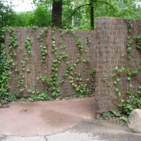 Heidemat 4-5cm Dik 2.0mx3m 3 Heidemat 4-5cm Dik 2.0mx3m - Afbeelding 3