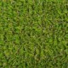 Namgrass Green Bliss 31mm Breedte 4m - Lengte Per 10cm