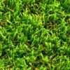 Namgrass Green Envie 35mm Breedte 2m - Lengte Per 10cm