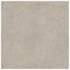 SEDIMENTO GREY Tegel Keramisch 100x100x2 (doos 1m²)