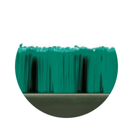 Verimpex Econobros Mat 23mm 785x485mm Groen 2 Verimpex Econobros Mat 23mm 785x485mm Groen - Afbeelding 2